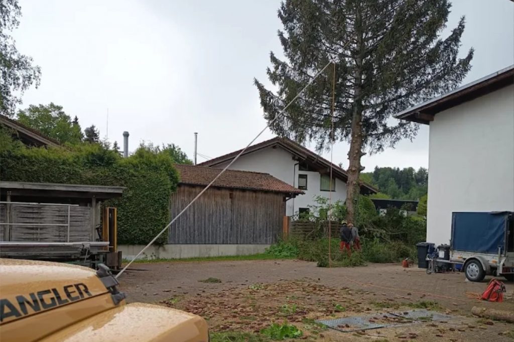 Baumarbeiter_Simon_Hummig_Faellung_Seilwinde